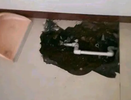 满城卫生间测漏水多少钱